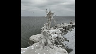 Ice formation off of the coast of Avon Lake