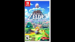 The Best Game You Should Play On Nintendo Switch - Legend of Zelda Link's Awakening : )