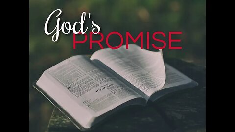 Sunday, October 8, 2023 - God's Promise