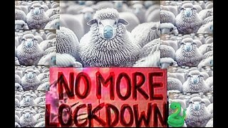 Lockdowns No More 💉😡