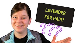 What Are Lavender Essential Oil's Benefits for Hair?