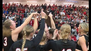 Welson's 41 points lead Hortonville to sectional final win over Neenah