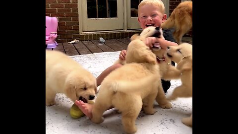 I’m convinced that these dogs are named golden retrievers because of their golden hear ❤️ Follow Me