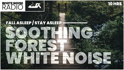 FALL ASLEEP / STAY ASLEEP | White Noise Sleep Sounds - Soothing Forest