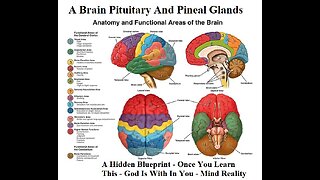 Hidden Blueprint - Once You Learn This - God Is With In You - Mind Reality Changes