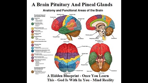 Hidden Blueprint - Once You Learn This - God Is With In You - Mind Reality Changes