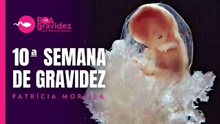 10 SEMANAS DE GRAVIDEZ - Gravidez Semana a Semana com Patrícia Moreira