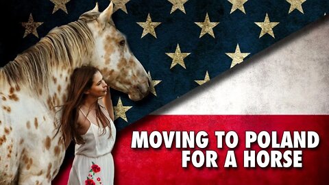 Why I Left The USA for Poland (For a horse) [Kult America]