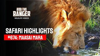 Safari Highlights #674: 10 & 11 March 2022 | Maasai Mara/Zebra Plains | Latest Wildlife Sightings