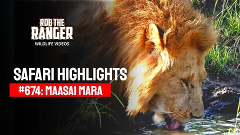 Safari Highlights #674: 10 & 11 March 2022 | Maasai Mara/Zebra Plains | Latest Wildlife Sightings