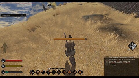 Life is Feudal MMO v0.25.30.0 - Some activities