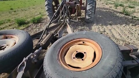 Discing with the Farmall M