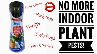 BIOLOGICAL INDOOR PLANT PEST CONTROL! THE #1 SOLUTION FOR INDOOR BUGS | Gardening in Canada ☠️👻