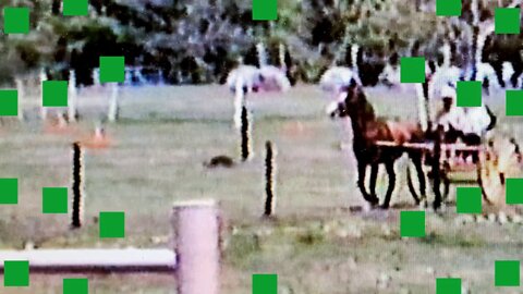 1984 Stewart Morris, Jr Foggy Bottom Horse Show Wharton Tx