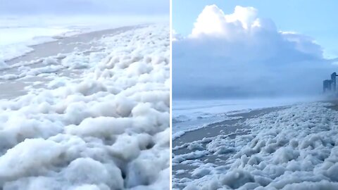 Fabulous sea bubbles gather at the shoreline in Australia