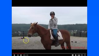 Is Training An Emergency Dismount Off A Horse, A Good Plan? Should You Jump Off Horses When Scared?
