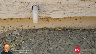Termites and termite damage in Arizona homes found during a home inspection