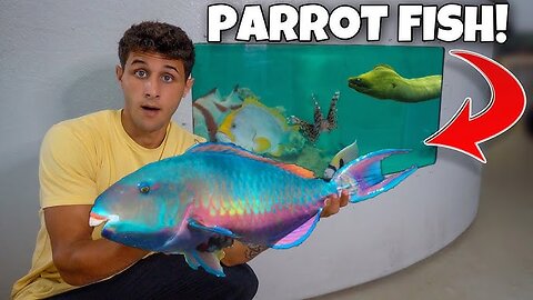 Catching EXOTIC PARROT FISH For My SALTWATER POND!!