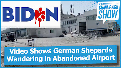 Video Shows German Shepards Wandering in Abandoned Airport