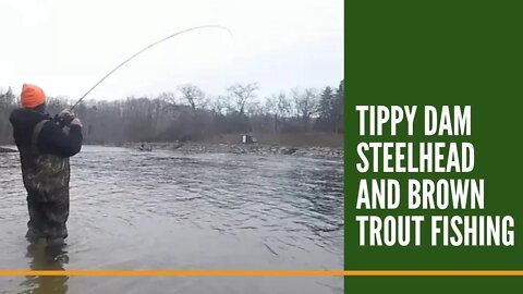 Tippy Dam Steelhead And Brown Trout Fishing / The Manistee River / Northern Michigan Fishing