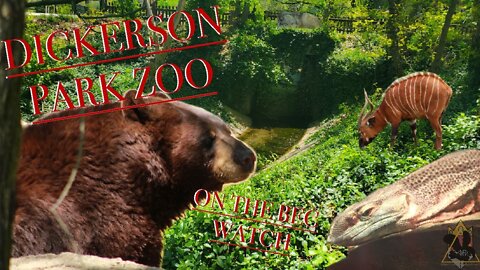 BEC Watch Entries: #14 Dickerson Park Zoo