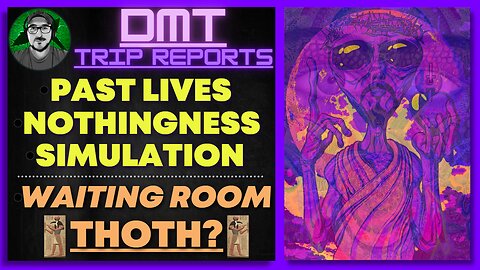 DMT TRIP REPORTS Past Lives, Simulation, Alternate Realities, Thoth?, Waiting Room | Soul Trap
