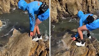 Fisherman Carefully Catches & Releases Stingray Off Rock