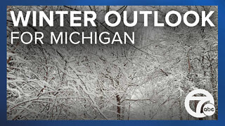 What could this winter look like in Michigan? Here's the NOAA winter outlook