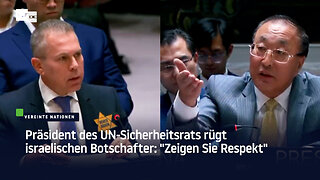 Präsident des UN-Sicherheitsrats rügt israelischen Botschafter: "Zeigen Sie Respekt"