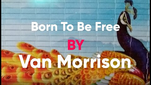 Van Morrison - Born To Be Free -Lyrics - Pictures 10-12-20