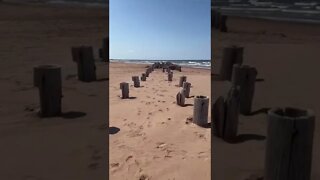 Walking through an old dock at the beach