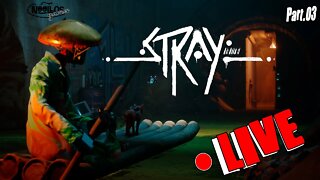 Stray - Mais um dia de MiauU - O FINAAAL [PS4 Pro]