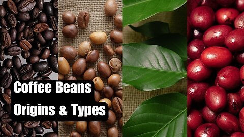 4 Types of Coffee Beans: Arabica, Robusta, Liberica, and Excelsa