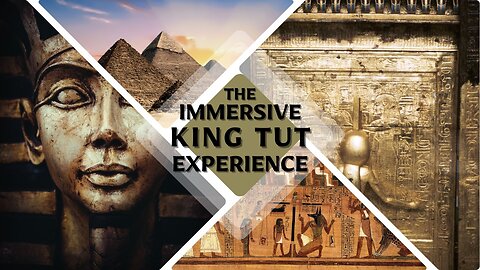 What Is The King Tut Immersive Experience Like? - LIVESTREAM!