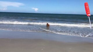 Cali goes to Atlantic Beach Days Before Hurricane Dorian