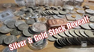 Revealing my entire SILVER & GOLD STACK! (7 months of stacking)