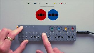 sampling a UNIQUE instrument // OP-Z beat making