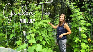 Vegetable Garden Tour | 2023 Tour #7 | Mid July