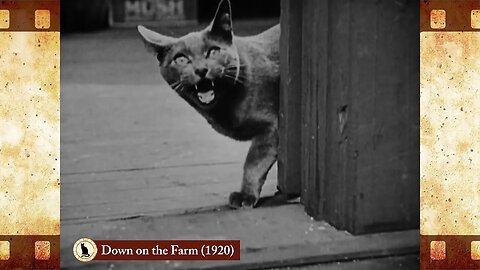 Down on the Farm (1920) 🐱 Cat Movies 🎥🐈