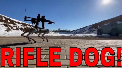 Autonomous Robot Dog Fires A FULLY AUTOMATIC RIFLE