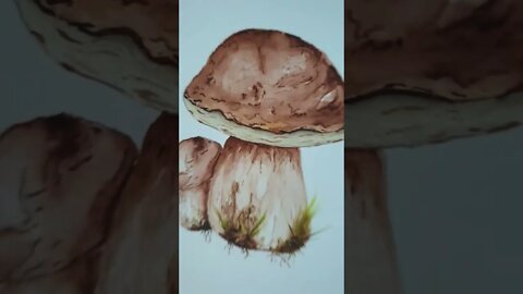 Mushroom Paintings #shorts #artistshorts #shrooms #mushroom #watercolor