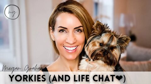 Yorkie chat (and life❤️) | Catch up with Megan Graham