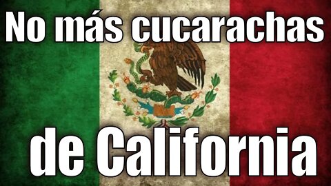Migrants from California are invading Mexico and THEY DONT LIKE IT -