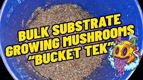 How To Make Bulk Substrate for Growing Mushrooms - Bucket Tek (My First Time)