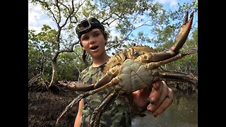 HUGE MUDCRABS Caught BAREHANDED - Catch n Cook! HD