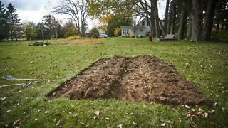 Experimenting with Flipped Sod Beds for planting Garlic in Ontario, Canada - The Homestead #15