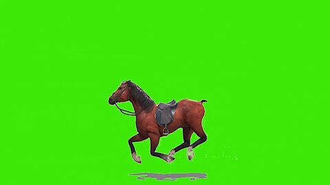 Horse Animation With Audio Green Screen