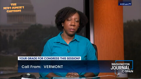A Democrat destroys Biden on C-SPAN Open Forum: "I've never been so disappointed in my party."
