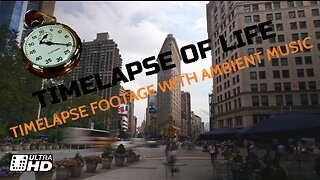 TIMELAPSE OF LIFE: A Journey Through Time