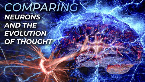 Evolution Theory, Neurons & Metaphysics